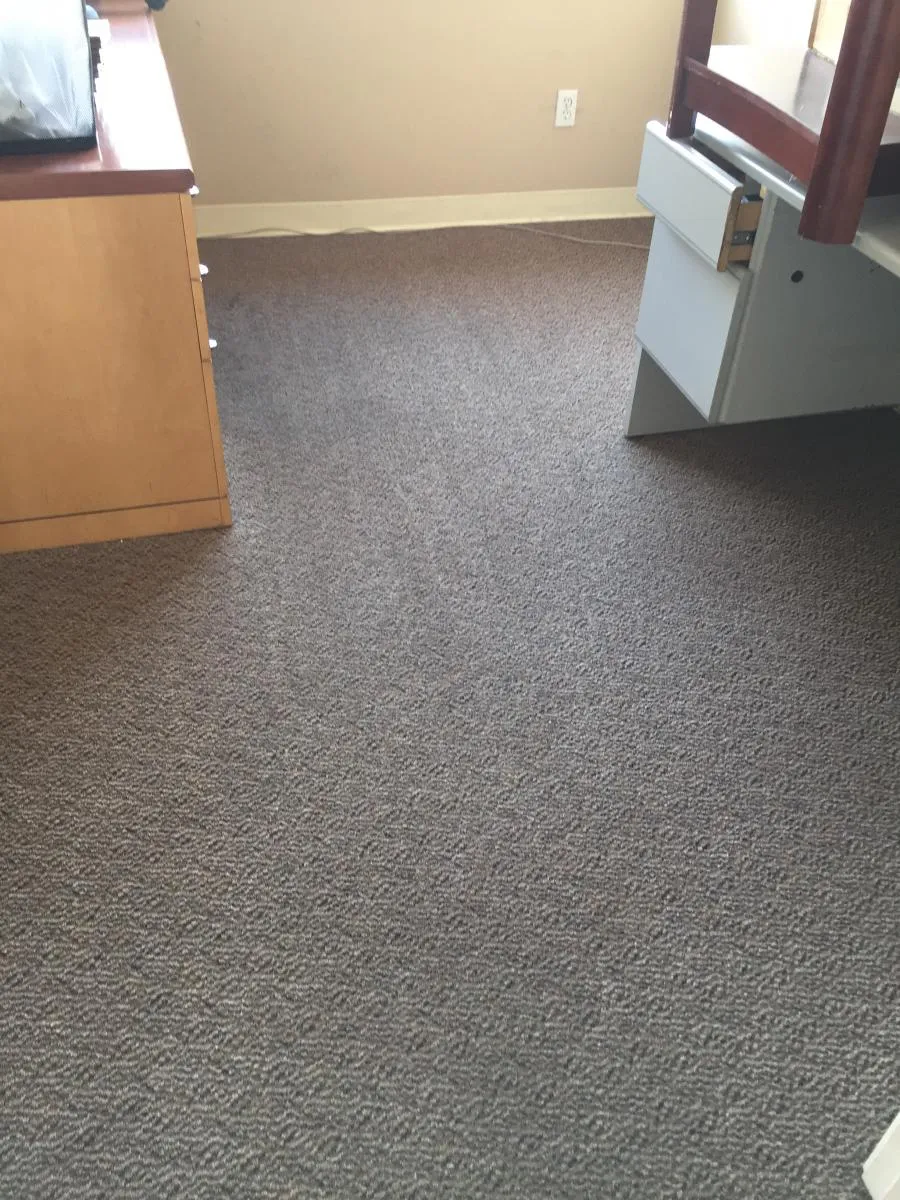 Picture of A freshly cleaned carpet reveals its subtle patterns, bringing a rejuvenated feel to the room. Maximum Carpet Cleaningâ€™s focus on quality outcomes ensures spaces are revitalized, as they consistently achieve a Highest in Quality rating. Copyright ©2025 Diamond Certified Resource

 - Maximum Carpet Cleaning
