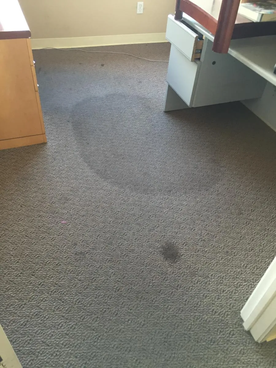 Picture of A well-trodden carpet bears subtle signs of past spills and footsteps, hinting at stories within a lived-in space. Maximum Carpet Cleaning ensures quality outcomes, leaving each fiber revitalized. Copyright ©2025 Diamond Certified Resource - Maximum Carpet Cleaning