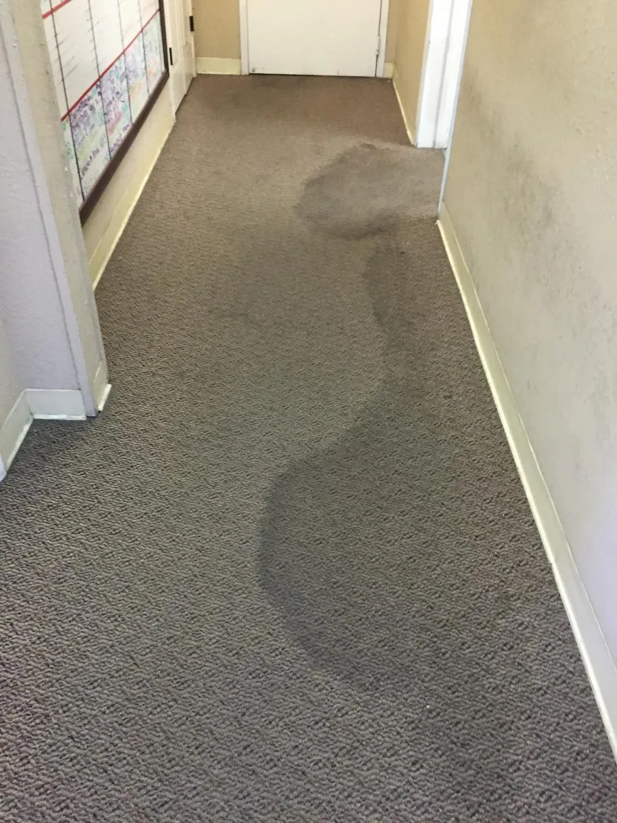 Picture of A stained carpet in a hallway awaits the expert touch of Maximum Carpet Cleaning, a company recognized for its expertise and quality. Their focus on quality outcomes ensures every job restores cleanliness and comfort. Copyright ©2025 Diamond Certified Resource - Maximum Carpet Cleaning