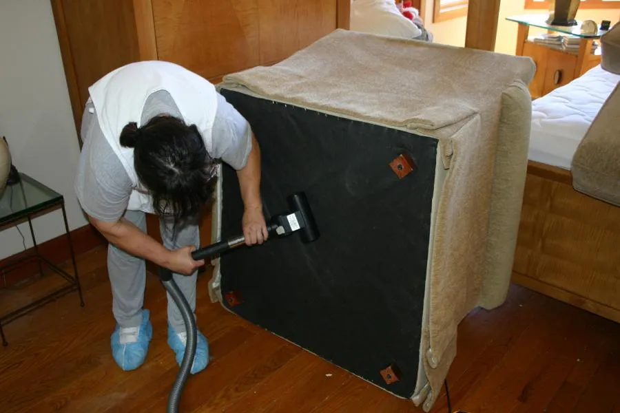  Person cleaning the underside of a sofa with a vacuum in a room. The sofa is tipped over, and the person is wearing a white top and blue shoe covers.