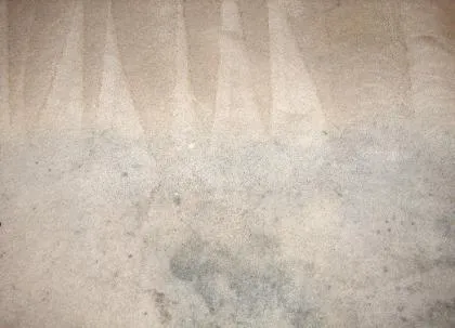 Picture of Subtle gradients in this carpet tell the story of transformative cleaning. Maximum Carpet Cleaning brings life back to even the most stubborn stains, consistently achieving a Highest in Quality rating. Copyright ©2025 Diamond Certified Resource

 - Maximum Carpet Cleaning