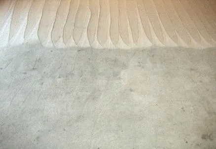 Picture of Maximum Carpet Cleaning showcases its commitment to quality outcomes with a striking transformation. The cleaned section, with its defined patterns, contrasts sharply against the untouched area. This visual testimony underscores why the company consistently achieved a Highest in Quality rating. Copyright ©2025 Diamond Certified Resource - Maximum Carpet Cleaning