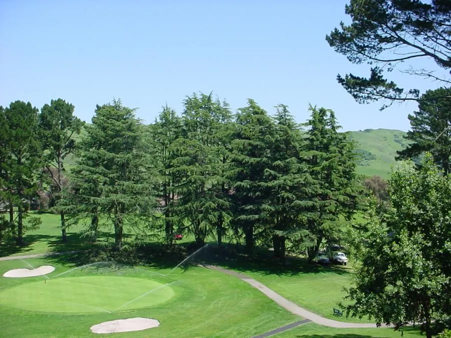  Golf course scene with a green, trees, and a sprinkler in action, maintaining the lush landscape under a clear blue sky.