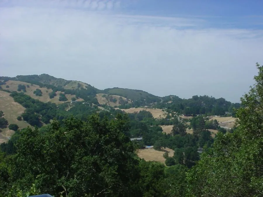 A panoramic view of rolling hills and scattered trees under a blue sky, showcasing a lush and varied landscape.
