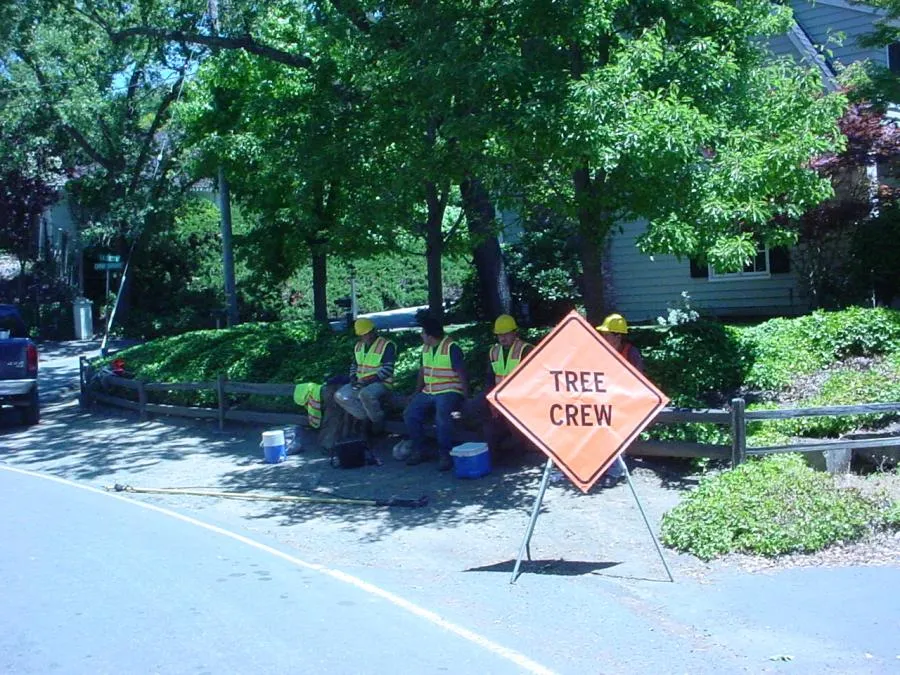  Workers in safety gear sit beneath trees beside a "Tree Crew" sign, with tools and materials nearby on a shaded roadside.
