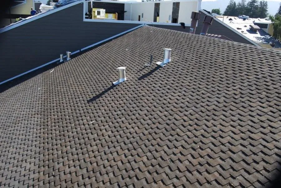 Picture of  The seamless symmetry of newly installed shingles reflects All Seasons Roofing & Waterproofing, Inc.'s focus on quality outcomes. This meticulous craftsmanship ensures durability and aesthetic appeal. Copyright ©2025 Diamond Certified Resource.

 - All Seasons Roofing & Waterproofing, Inc.