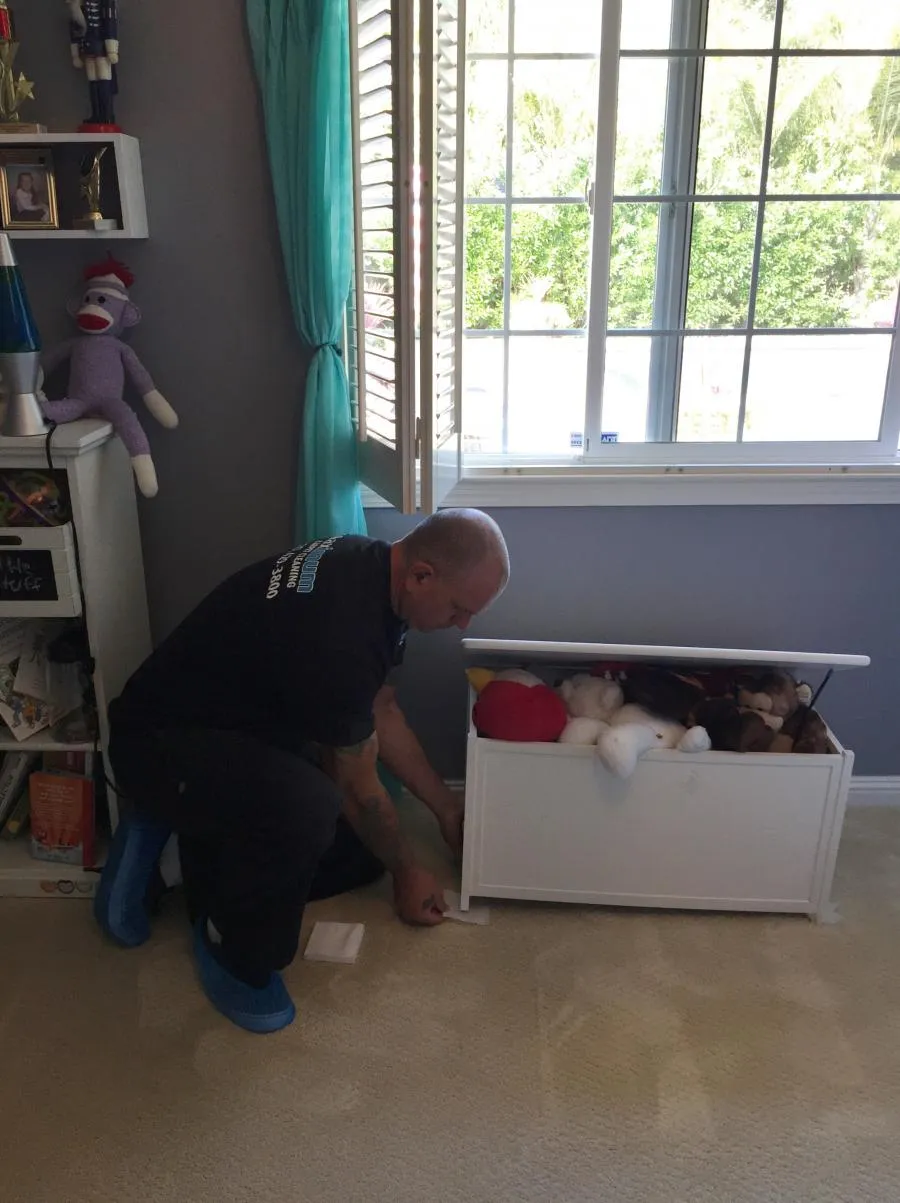 Picture of A technician from Maximum Carpet Cleaning kneels beside a child's toy box, carefully tending to a carpet's needs, embodying the company's high customer satisfaction ratings. Copyright ©2025 Diamond Certified Resource

 - Maximum Carpet Cleaning