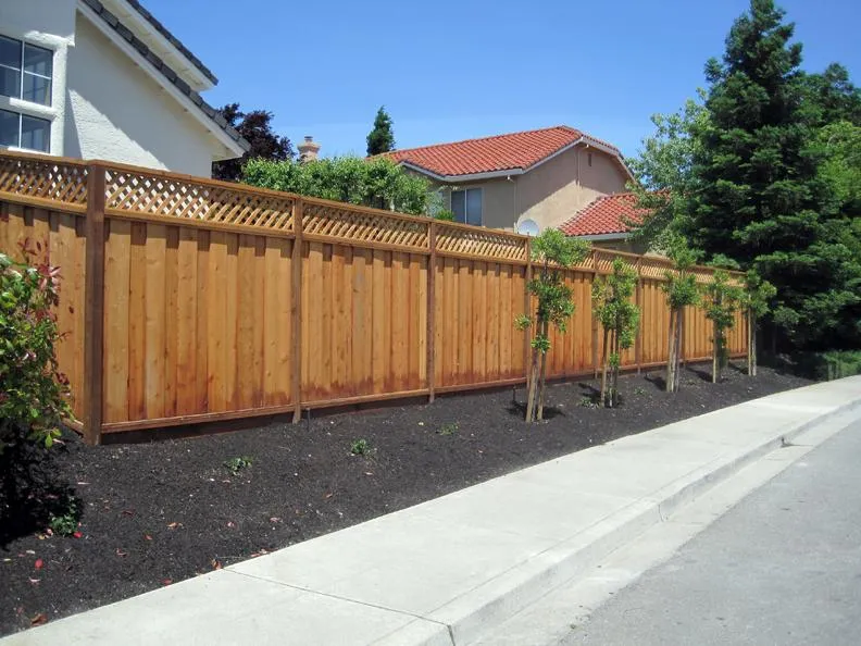  A wooden fence with lattice top along a landscaped area with small trees and mulch, next to a sidewalk and houses.