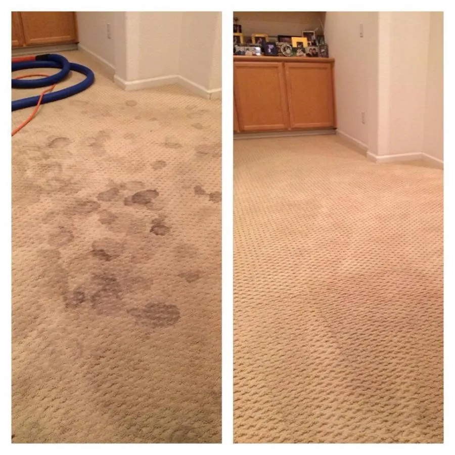 Side-by-side comparison of a carpet before and after cleaning; the left side shows stains, and the right side is clean and spotless.