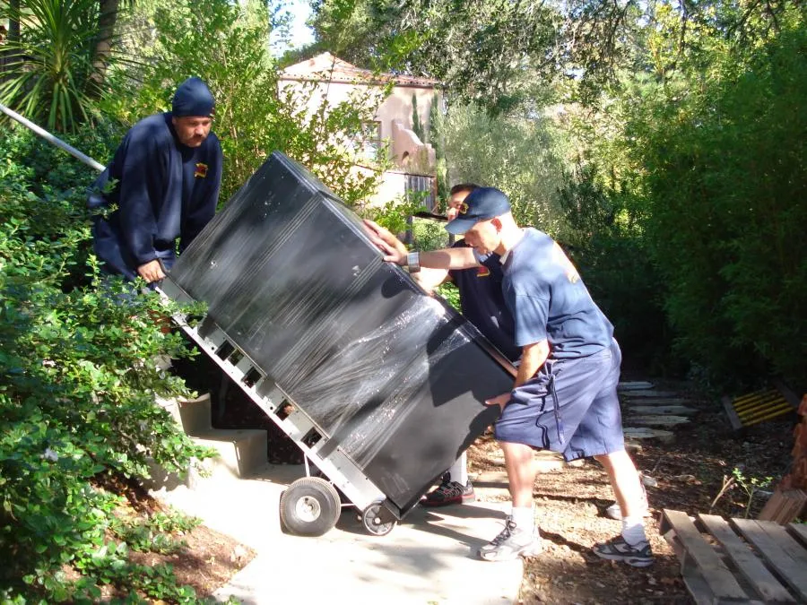 Picture of In a serene, leafy setting, Johnson & Daly Moving & Storage expertly maneuvers a large, wrapped appliance down a path. Their team showcases their recognized expertise in quality and precision. Copyright ©2025 Diamond Certified Resource

 - Johnson & Daly Moving & Storage