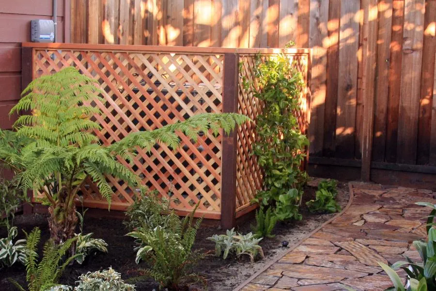  Lattice enclosure with plants inside, surrounded by a stone path, ferns, and a wooden fence in a garden setting.