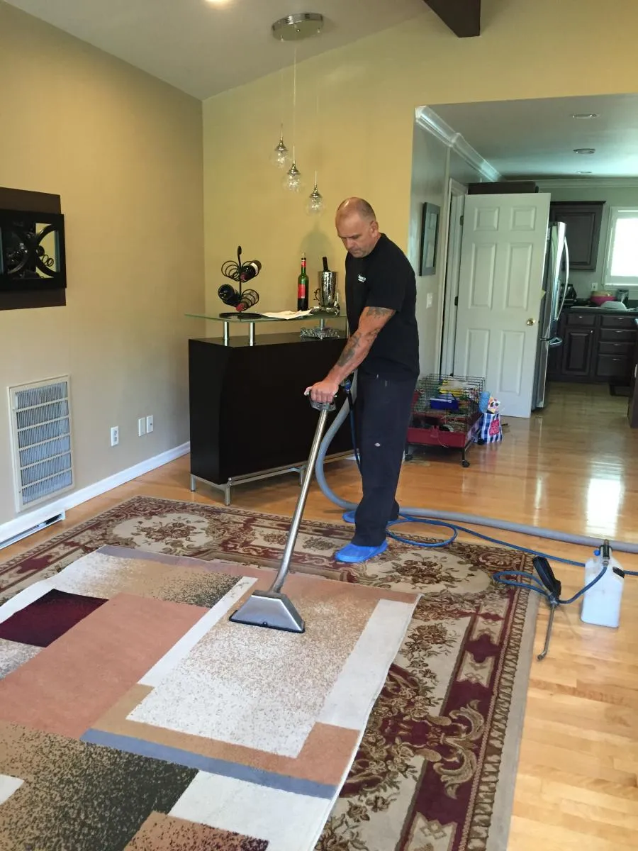 Picture of A technician from Maximum Carpet Cleaning meticulously restores a patterned rug, demonstrating the company's focus on quality outcomes. Their expertise is why they consistently achieve a Highest in Quality rating. Copyright ©2025 Diamond Certified Resource

 - Maximum Carpet Cleaning