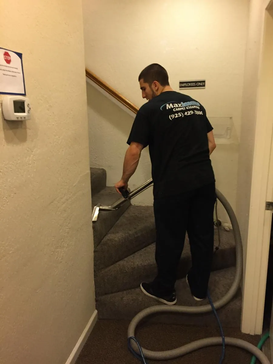 Picture of A technician from Maximum Carpet Cleaning focuses intently on a staircase, ensuring every fiber is revitalized. Known for earning Diamond Certified, their commitment to quality outcomes is evident. Copyright ©2025 Diamond Certified Resource - Maximum Carpet Cleaning