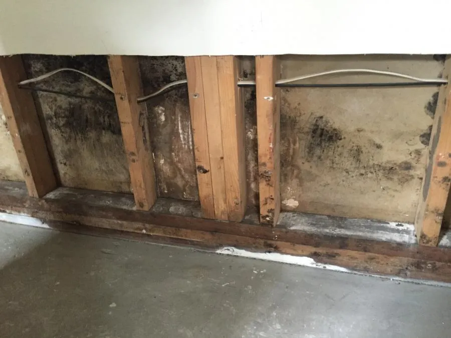 Picture of A glimpse into the bare wall reveals the aftermath of water damage, a challenge NBE Property Restoration expertly tackles. With a focus on quality outcomes, they ensure long-lasting solutions. Copyright ©2025 Diamond Certified Resource

 - NBE Property Restoration