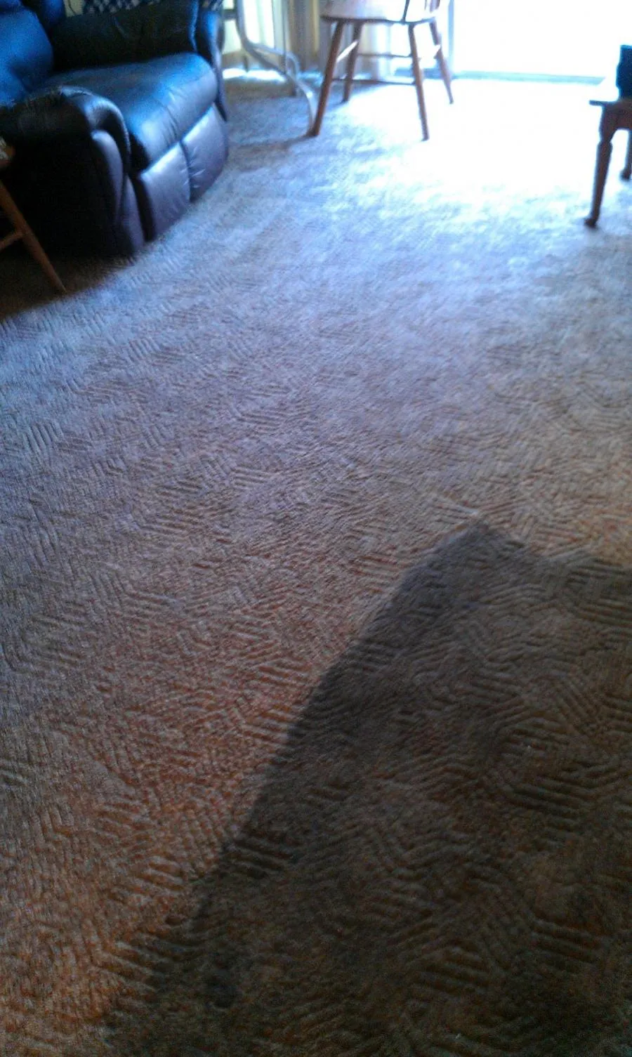 Picture of Sunlight streams onto a freshly cleaned carpet, highlighting the meticulous care taken by North Coast Carpet Care, Inc. As a Diamond Certified company, they’re recognized for expertise and quality. Copyright ©2025 Diamond Certified Resource. - North Coast Carpet Care, Inc.