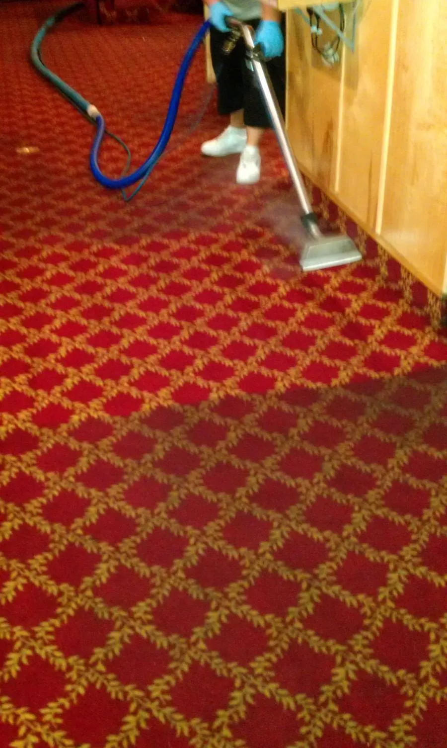 Picture of  A technician from North Coast Carpet Care, Inc. expertly maneuvers a steam cleaning tool, restoring the vibrant red and gold pattern of an intricately designed carpet. Renowned for their expertise and quality, the company has consistently achieved a Highest in Quality rating. Copyright ©2025 Diamond Certified Resource.

 - North Coast Carpet Care, Inc.