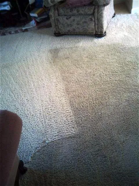 Picture of  A freshly cleaned carpet shows a stark contrast against its untouched counterpart, demonstrating North Coast Carpet Care, Inc.'s focus on quality outcomes. Their commitment to enhancing home environments is evident, consistently achieving a Highest in Quality rating. Copyright ©2025 Diamond Certified Resource.

 - North Coast Carpet Care, Inc.