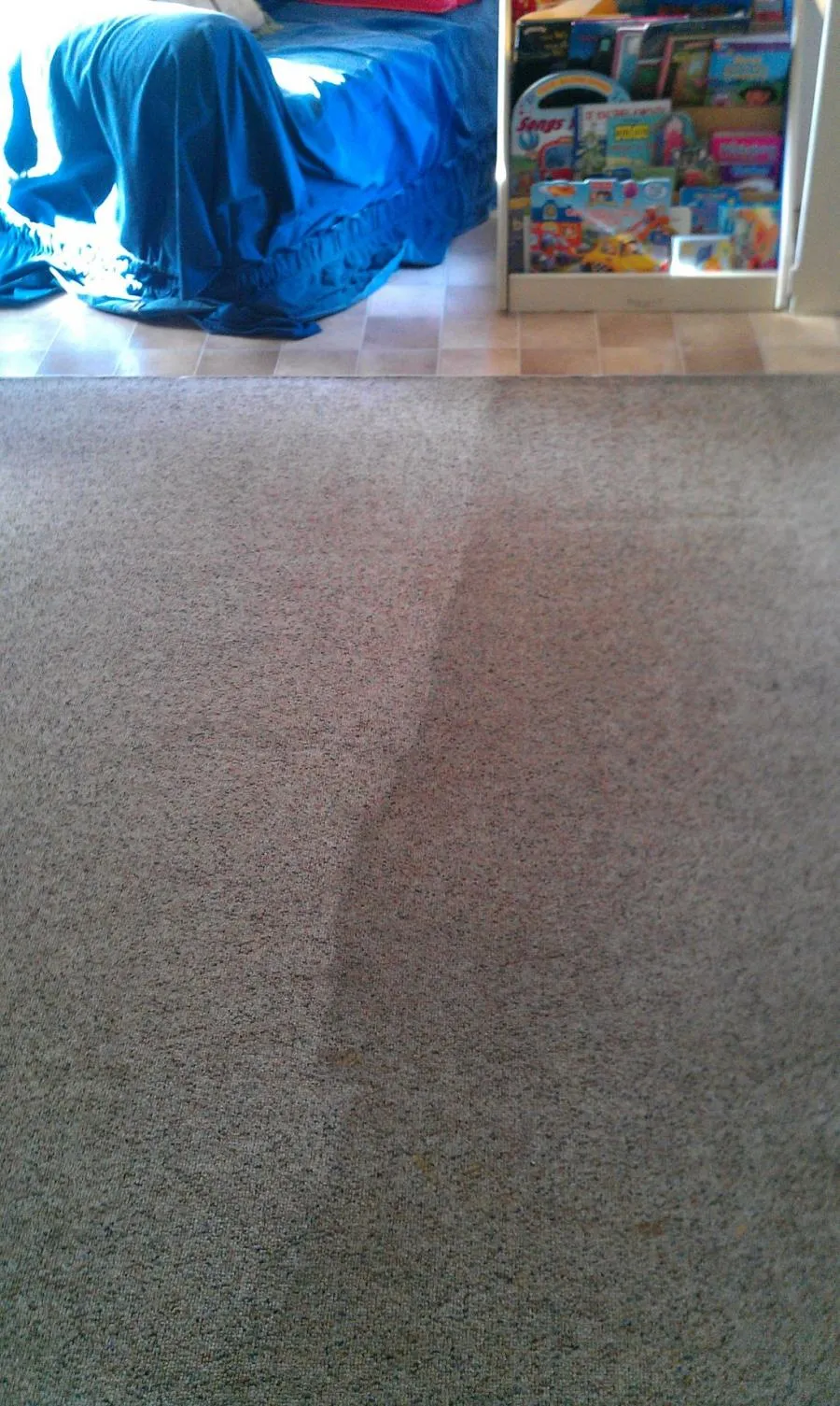 Picture of  A subtle boundary marks the transformation between cleaned and untouched carpet, illustrating North Coast Carpet Care, Inc.'s dedication to detail. Recognized for expertise and quality, the company ensures spotless results. Copyright ©2025 Diamond Certified Resource.

 - North Coast Carpet Care, Inc.