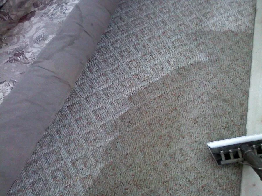 Picture of  A vacuum meticulously cleans a patterned carpet, revealing its former vibrancy amid gentle strokes. North Coast Carpet Care, Inc. is celebrated for its high customer satisfaction ratings, ensuring every fiber is renewed to perfection. Copyright ©2025 Diamond Certified Resource.

 - North Coast Carpet Care, Inc.