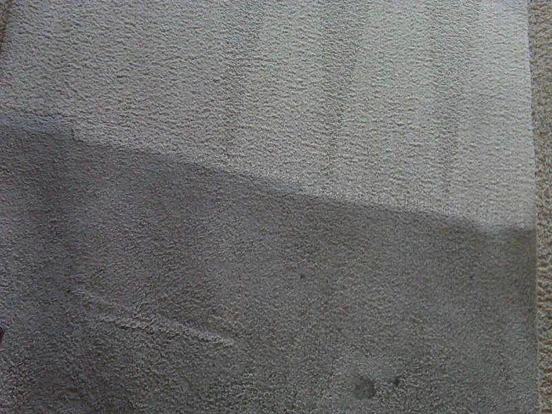 Picture of  A striking contrast in carpet cleanliness reveals North Coast Carpet Care, Inc.'s commitment to excellence. Their focus on quality outcomes ensures a fresh start for every home. Copyright ©2025 Diamond Certified Resource.

 - North Coast Carpet Care, Inc.