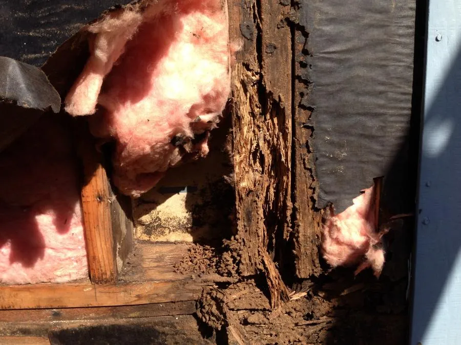 Picture of A close-up of termite damage reveals the silent destruction within the walls, a testament to the importance of vigilant pest control. Redwood Empire Termite & Pest Control, recognized for expertise and quality, is ready to restore peace and stability. Copyright ©2025 Diamond Certified Resource

 - Redwood Empire Termite & Pest Control