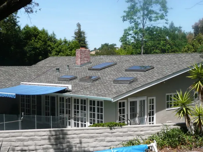  House with a gray shingle roof featuring multiple skylights, surrounded by trees, highlighting a blend of nature and modern design.