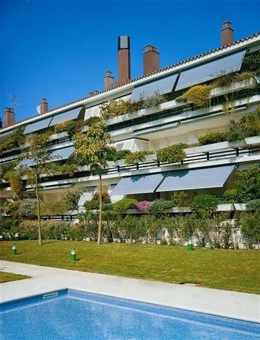 Picture of Amidst the serene backdrop of a landscaped garden and pool, sleek window awnings offer shade and style to a contemporary building. Installed by Wesco Screen Company Inc., recognized for expertise and quality. Copyright ©2025 Diamond Certified Resource

 - Wesco Screen Company Inc.