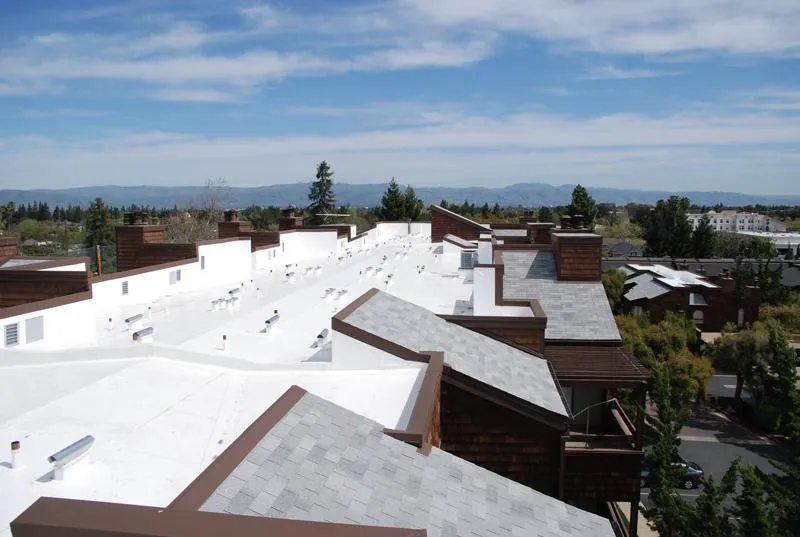 Picture of  Amidst the sweeping view of a neighborhood, pristine white rooftops reflect Ben's Roofing, Inc.'s commitment to quality outcomes. Such precision in roofing exemplifies why the company consistently achieved a Highest in Quality rating. Copyright ©2025 Diamond Certified Resource.

 - Ben's Roofing, Inc.