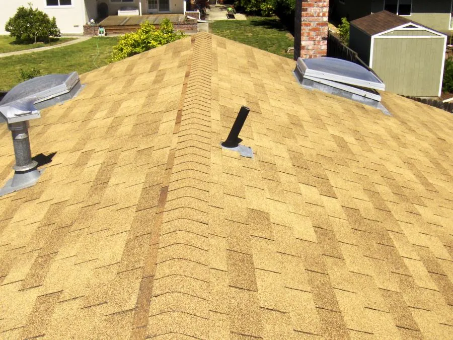 View of a yellow shingle roof with two ventilation pipes and two skylights, surrounded by a residential backyard.