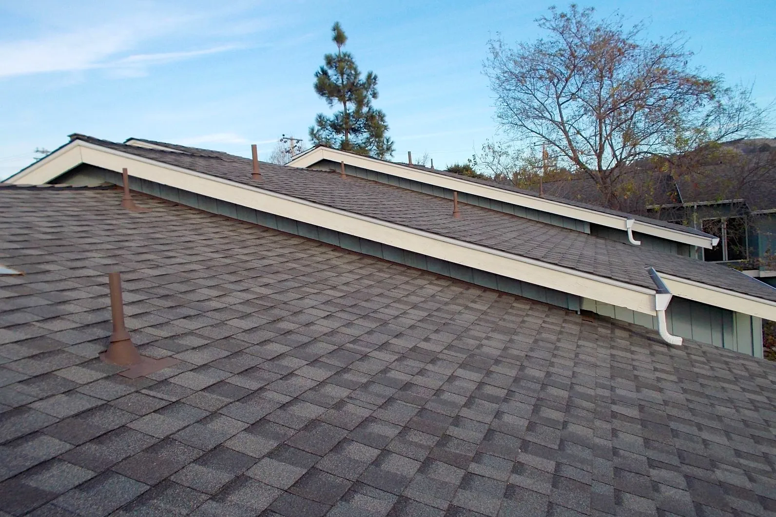  Close-up of a residential roof with neatly aligned shingles and multiple vent pipes, surrounded by trees and a clear sky.