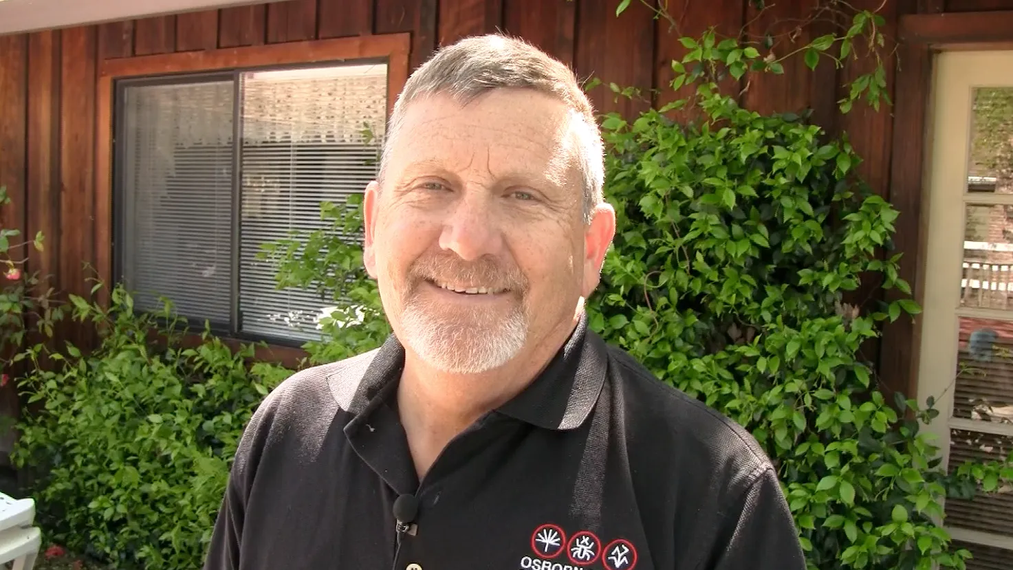 David Osborn