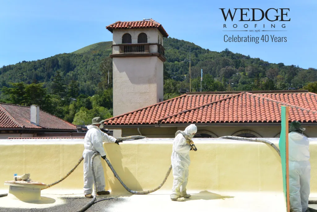Picture of Amid a backdrop of lush hills, Wedge Roofing technicians apply a protective roof coating, exemplifying their commitment to quality outcomes. Their expertise has earned them Diamond Certified status. Copyright ©2025 Diamond Certified Resource

 - Wedge Roofing
