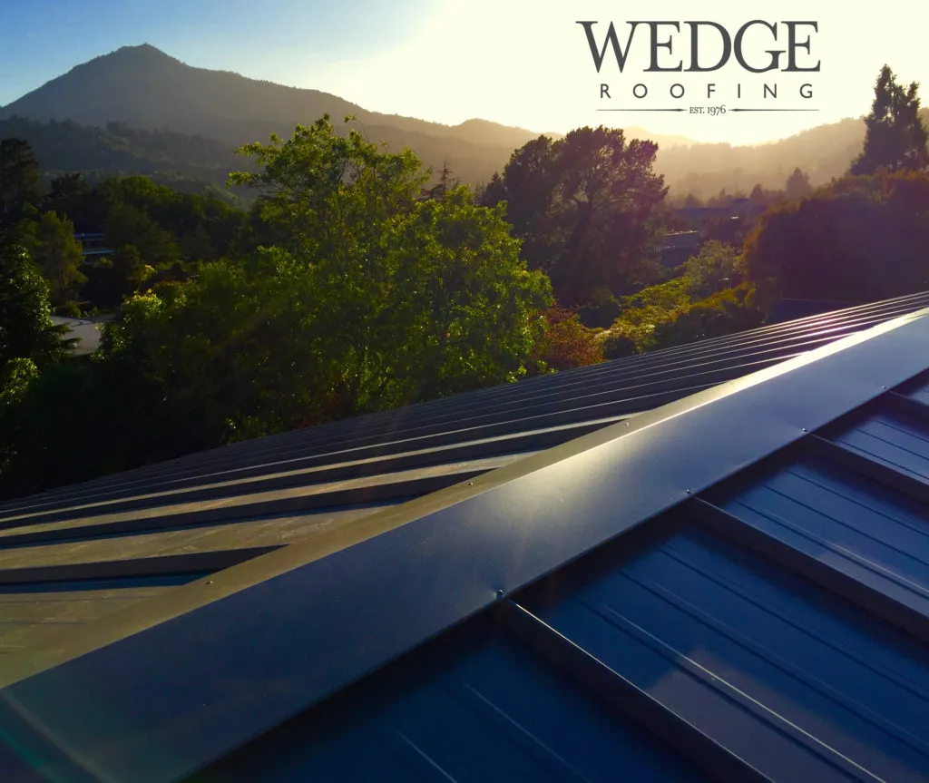 Picture of As the sun sets over a serene landscape, the sleek lines of a metal roof by Wedge Roofing reflect mastery in craftsmanship, underlining its Diamond Certified expertise and focus on quality outcomes. Copyright ©2025 Diamond Certified Resource

 - Wedge Roofing