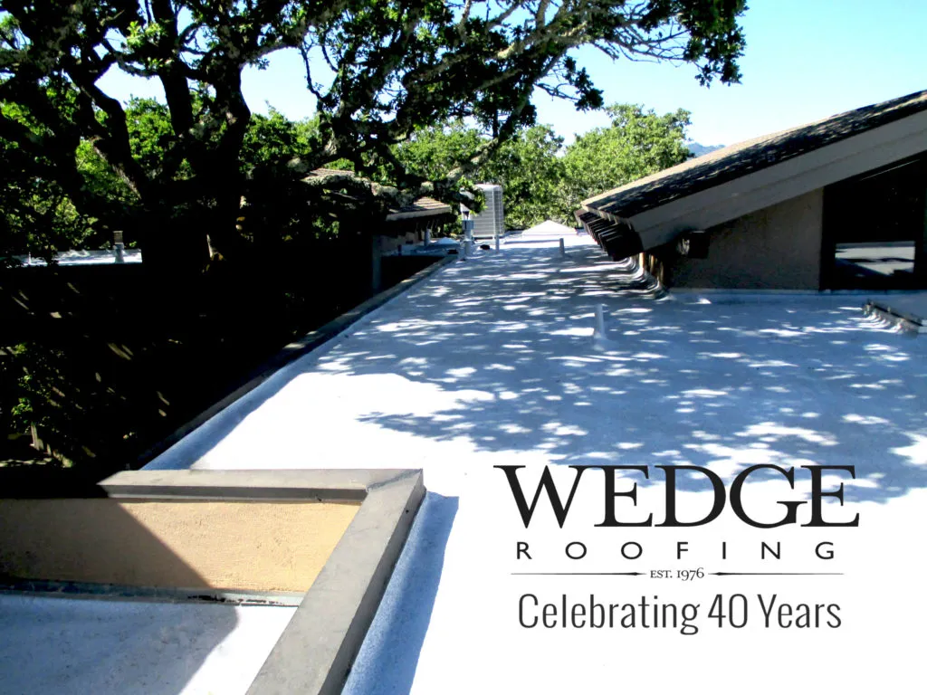 Picture of Wedge Roofing marks 40 years with a pristine roof coating, a testament to their top-rated quality. Nestled under the tranquil embrace of trees, the finished roof highlights the companyâ€™s commitment to excellence. Copyright ©2025 Diamond Certified Resource

 - Wedge Roofing