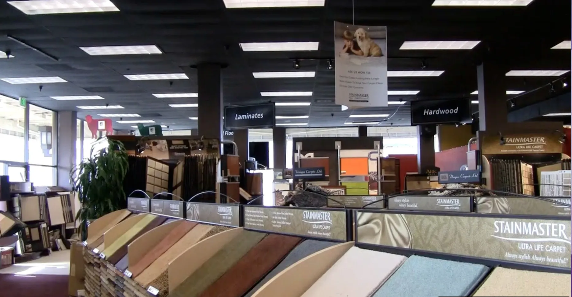 Picture of A quiet morning inside City Carpets reveals rows of meticulously arranged carpet samples, showcasing the company's dedication to quality outcomes. Recognized for its expertise and quality, City Carpets invites customers into a world of texture and choice. Copyright ©2025 Diamond Certified Resource

 - City Carpets