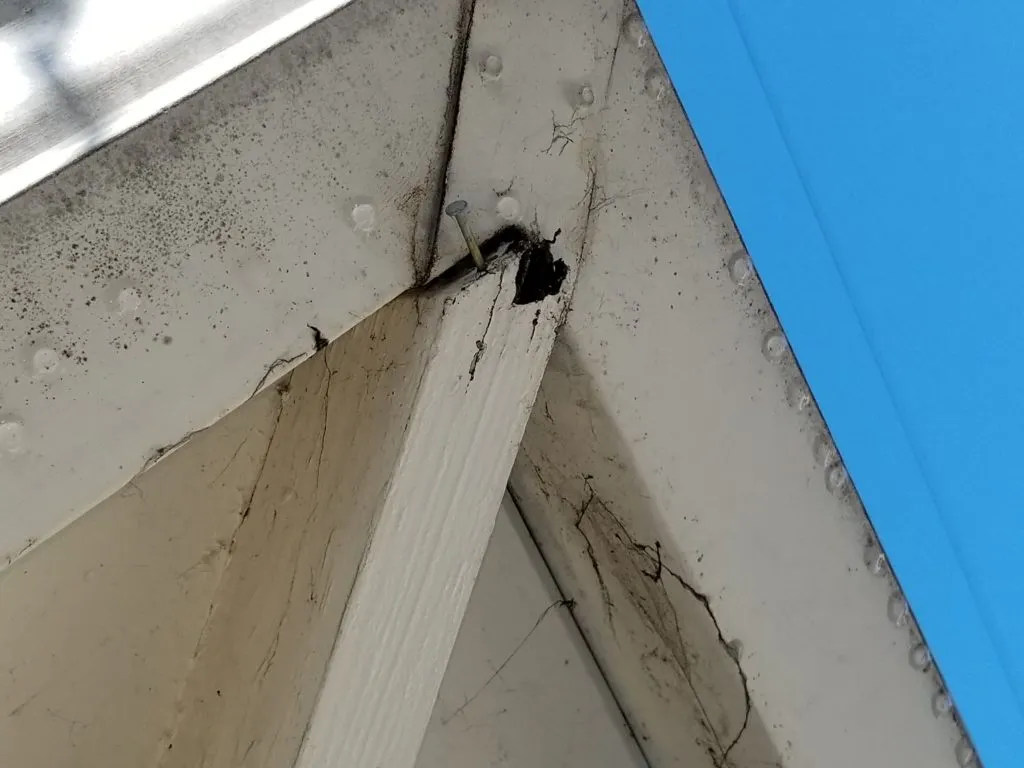 HI TECH TERMITE CONTROL OF THE BAY AREA, INC. - 408 Surveys, Videos,  Articles, & More | Diamond Certified