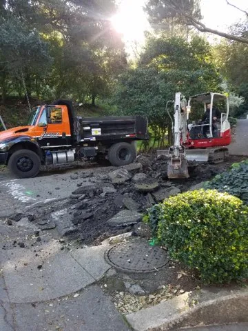 Picture of  Amidst the serene backdrop of trees, Jackson's Paving & Equipment Rentals, Inc. expertly maneuvers machinery to transform a cracked pathway, underscoring their focus on quality outcomes. Copyright ©2025 Diamond Certified Resource.

 - Jackson's Paving & Equipment Rentals, Inc.