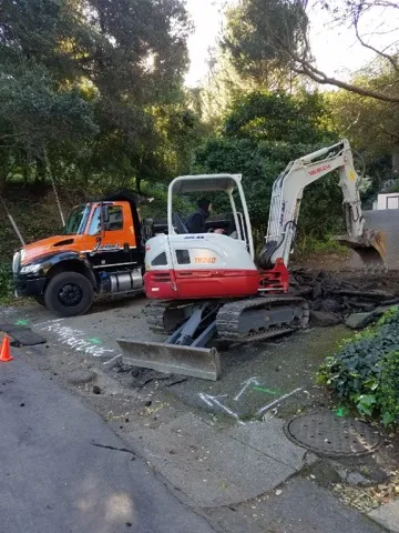 Picture of  In a serene wooded area, Jackson's Paving & Equipment Rentals, Inc. operates a compact excavator, carefully clearing a path. This scene highlights the company’s commitment to quality outcomes in every project. Copyright ©2025 Diamond Certified Resource.

 - Jackson's Paving & Equipment Rentals, Inc.