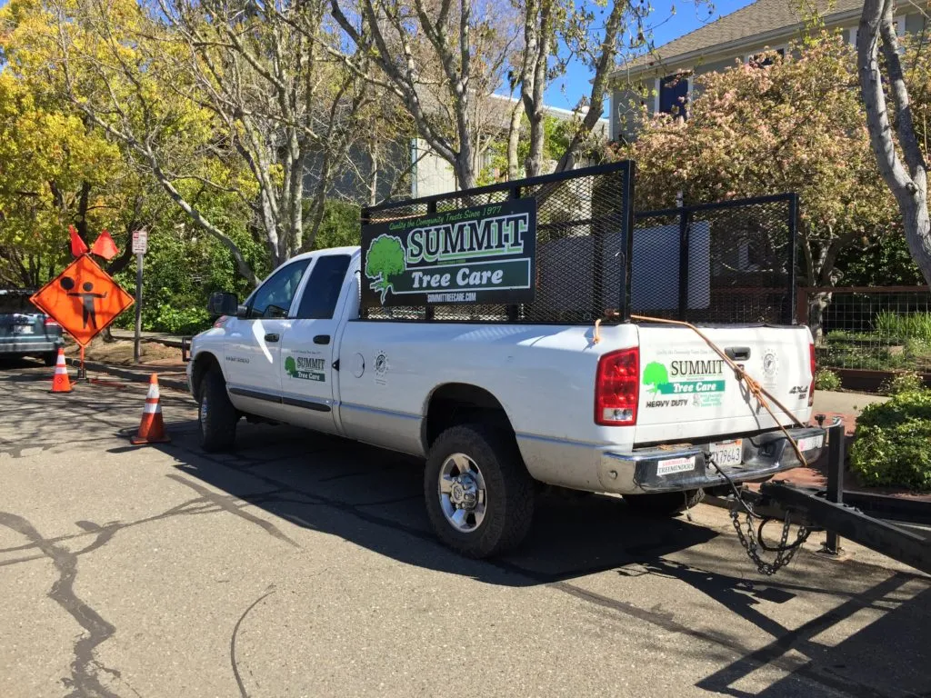 Picture of Under the dappled shade of early spring foliage, a Summit Tree Care truck is poised for action on a serene residential street. Known for their focus on quality outcomes, the company exemplifies top-rated service in tree care. Copyright ©2025 Diamond Certified Resource

 - Summit Tree Care