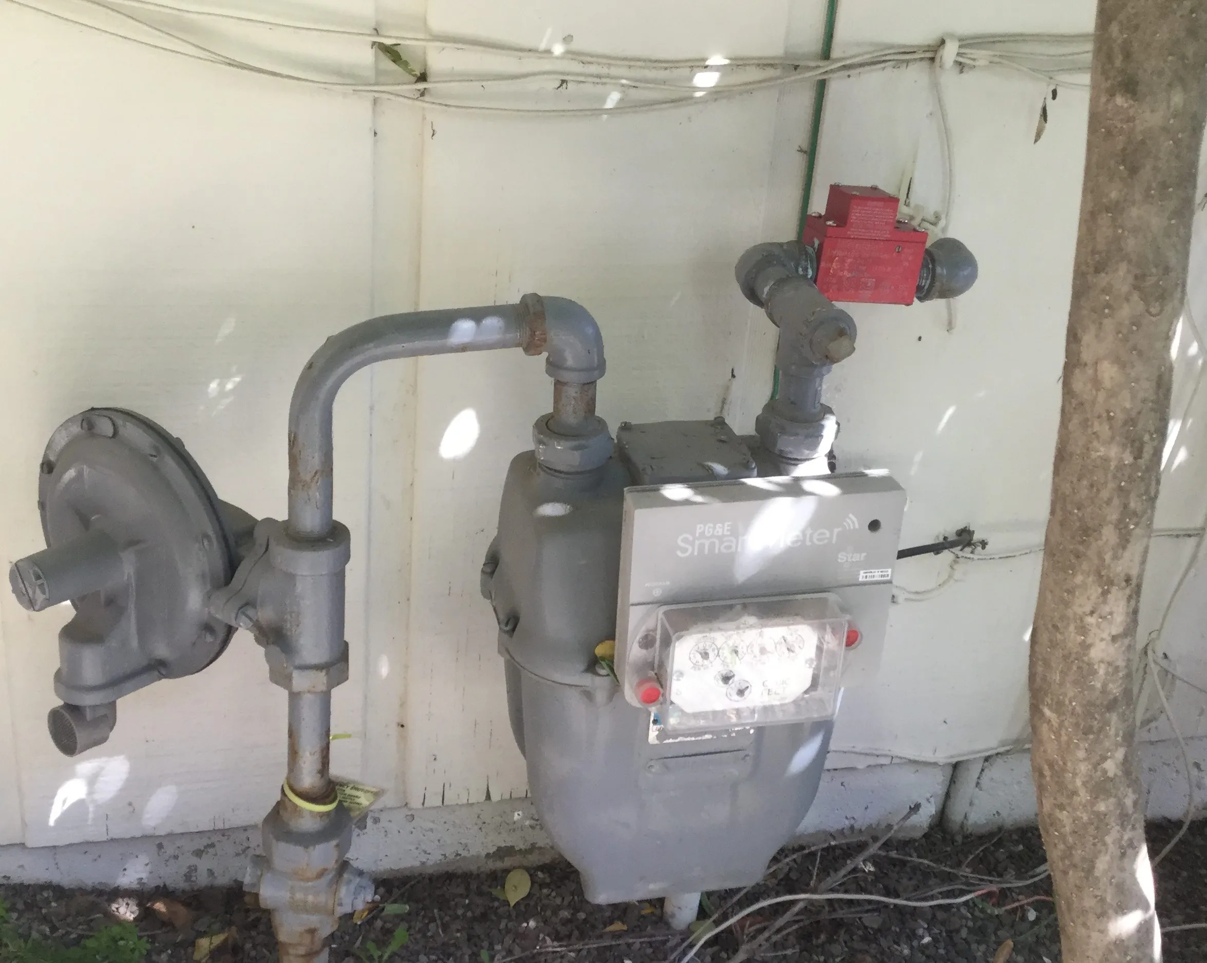 Close-up of a gas meter and connected pipes installed on an exterior wall. The setup is surrounded by foliage and ground cover. Close-up of a gas meter and connected pipes installed on an exterior wall. The setup is surrounded by foliage and ground cover.