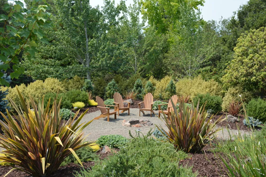  Four wooden chairs arranged in a circle on a gravel area, surrounded by diverse greenery and trees.