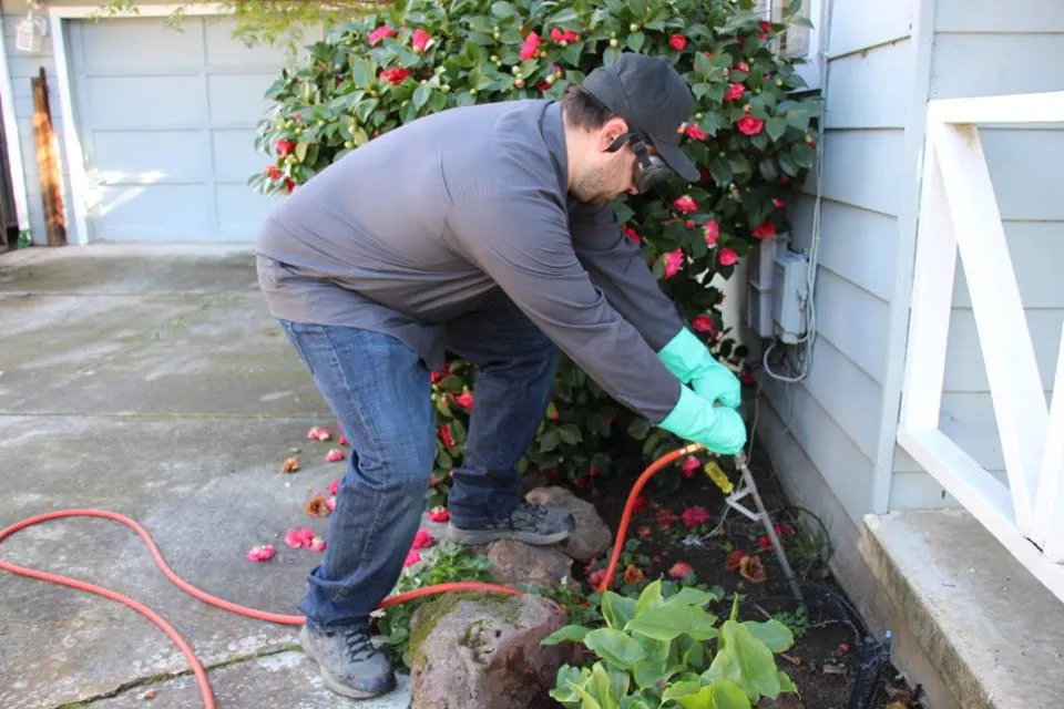 Picture of A technician from Mightymite Termite Services meticulously applies treatment along a home's foundation, highlighting the company's focus on quality outcomes. Their work is a testament to high customer satisfaction ratings. Copyright ©2025 Diamond Certified Resource - Mightymite Termite Services