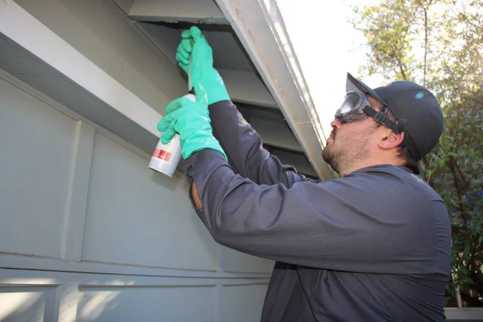 Picture of A specialist from Mightymite Termite Services carefully applies treatment to a home's eaves, demonstrating precision and care. The company consistently achieved a Highest in Quality rating, ensuring exceptional protection. Copyright ©2025 Diamond Certified Resource

 - Mightymite Termite Services