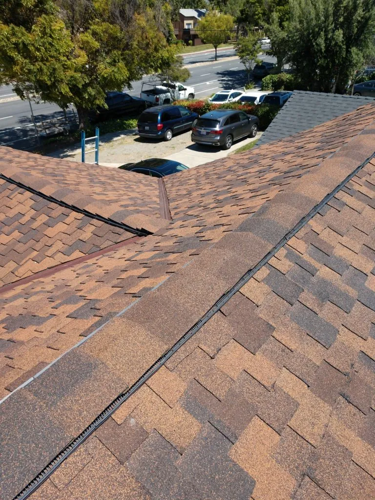 Picture of Viewed from above, the newly installed shingles form a sturdy shield against the elements, showcasing Bay 101 Roofing, Inc.'s dedication to quality outcomes. This rooftop reflects the company’s consistent achievement of a Highest in Quality rating. Copyright ©2025 Diamond Certified Resource. - Bay 101 Roofing, Inc.