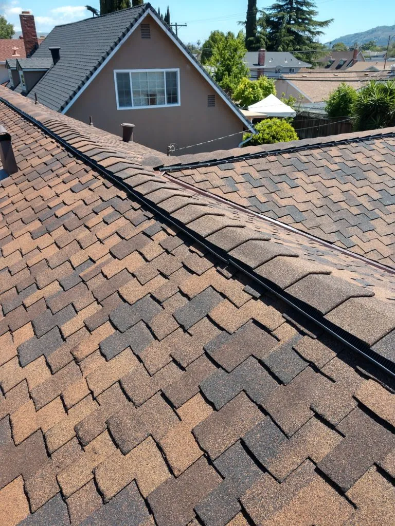 Picture of  The neatly aligned shingles on a residential roof reflect Bay 101 Roofing, Inc.'s unwavering commitment to precision and quality outcomes. As the sunlight accentuates the craftsmanship, the company's expertise in achieving high customer satisfaction shines through. Copyright ©2025 Diamond Certified Resource.

 - Bay 101 Roofing, Inc.