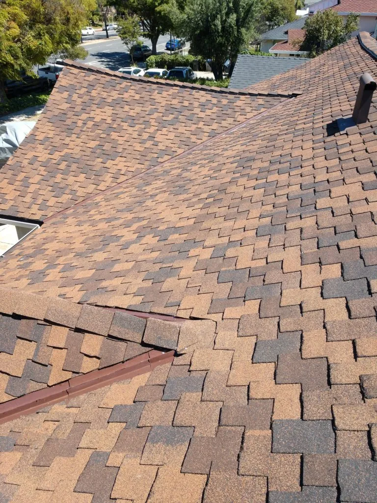 Picture of  Sunlight glances off the meticulously arranged shingles of a newly completed roof by Bay 101 Roofing, Inc., showcasing their commitment to quality outcomes. Copyright ©2025 Diamond Certified Resource.

 - Bay 101 Roofing, Inc.