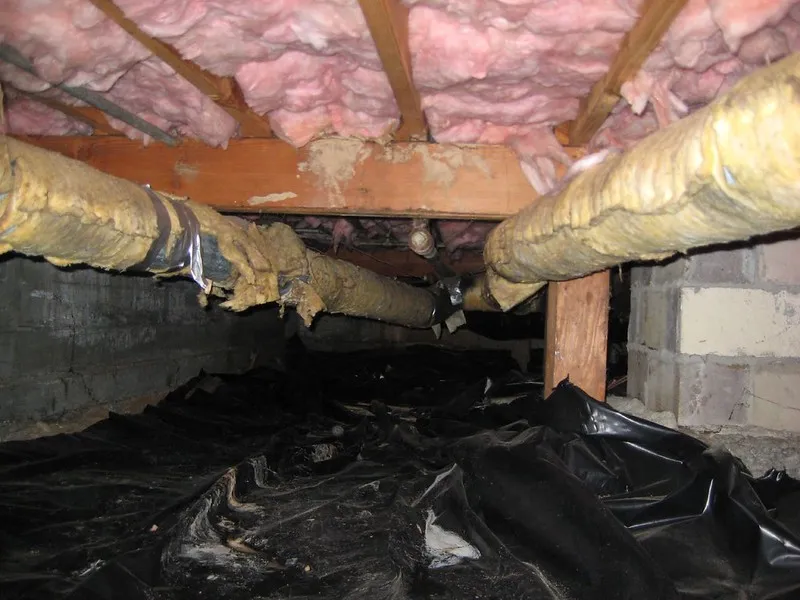 Insulated pipes and pink insulation visible in a dimly lit crawl space with black plastic covering the ground. Insulated pipes and pink insulation visible in a dimly lit crawl space with black plastic covering the ground.