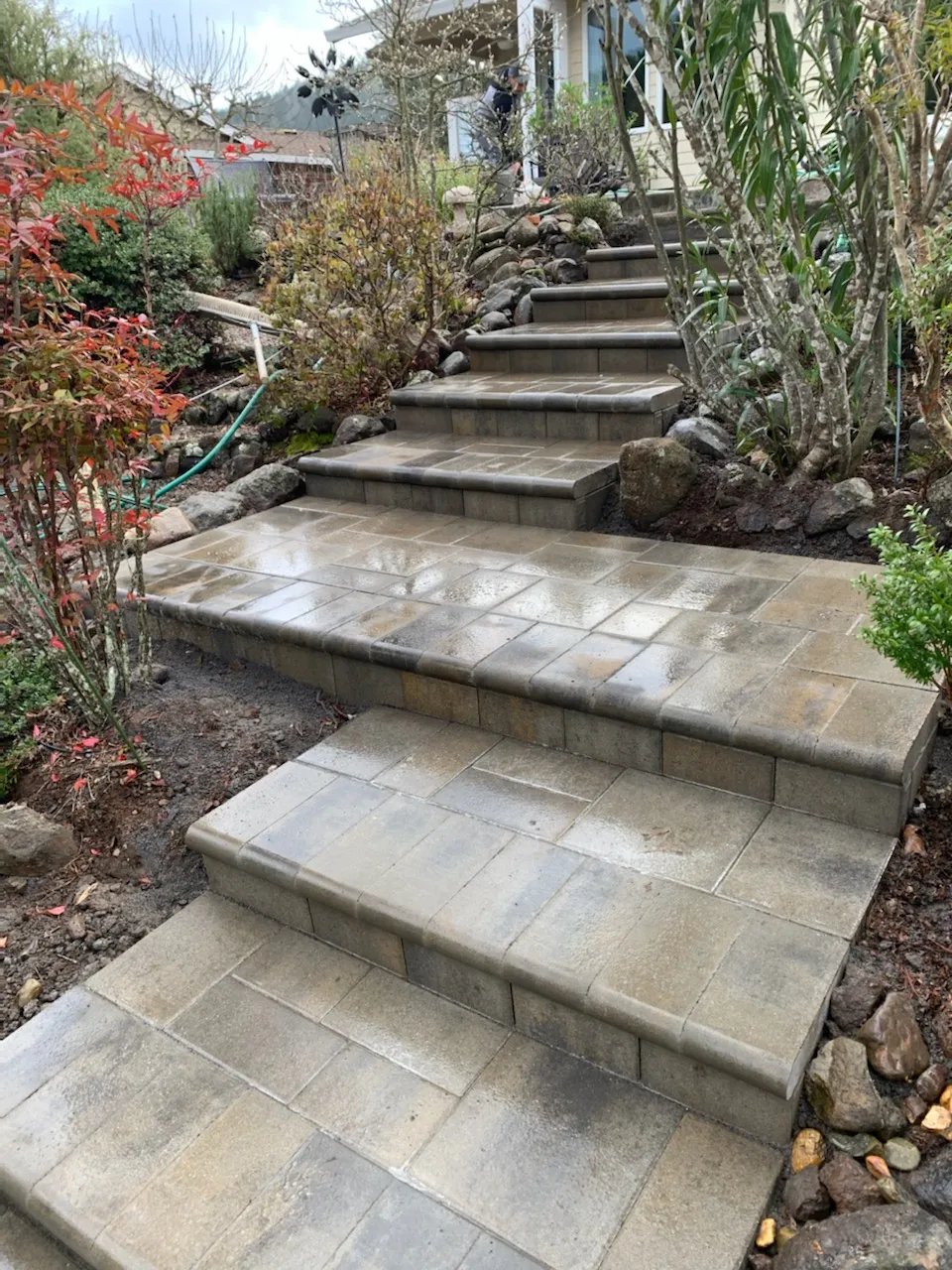 Picture of Crafted stone steps lead the way through a lush garden, showcasing The Legacy Paver Group's commitment to quality outcomes. The company's expertise transforms outdoor spaces with precision and care. Copyright ©2025 Diamond Certified Resource

 - The Legacy Paver Group