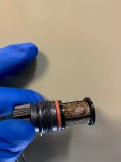 Picture of A gloved hand holds a clogged plumbing filter, a testament to the hidden challenges Discover Plumbing & Rooter expertly navigates. Their focus on quality outcomes ensures clean, efficient systems. Copyright ©2025 Diamond Certified Resource - Discover Plumbing & Rooter