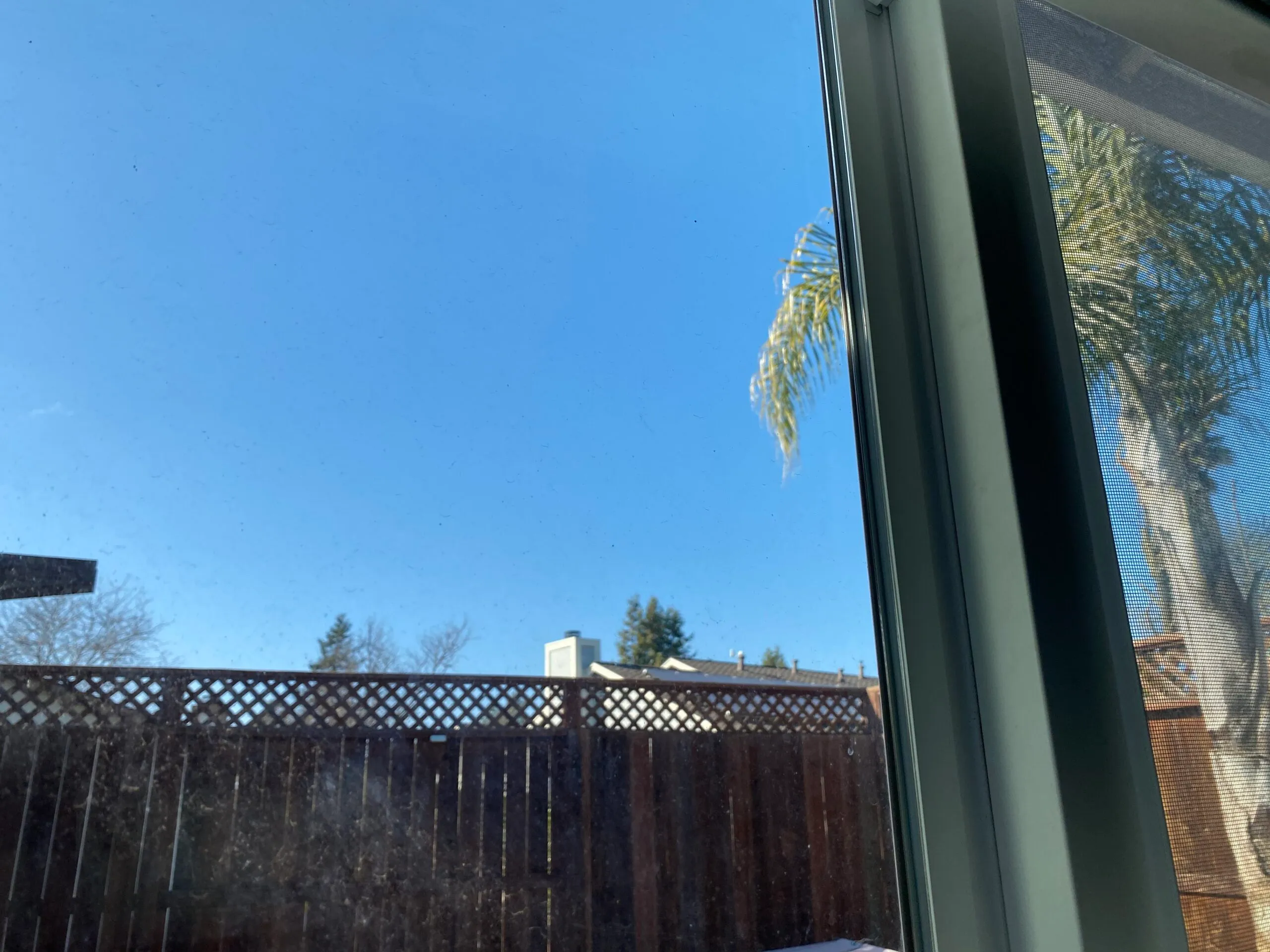 View through a clean window showing an outdoor scene with a wooden fence, trees, and blue sky.